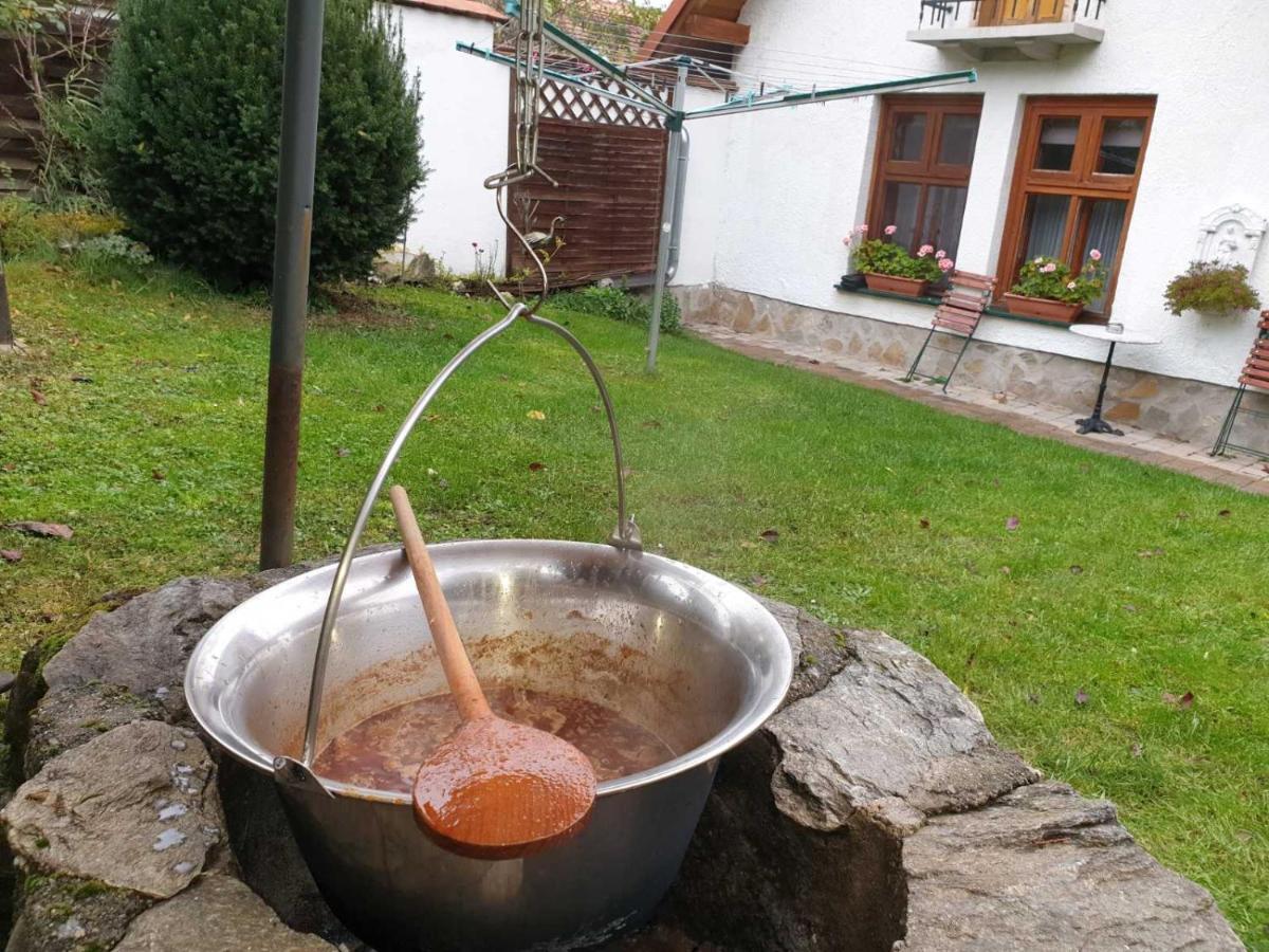 Sziget Vendeghaz Apartment Koszeg